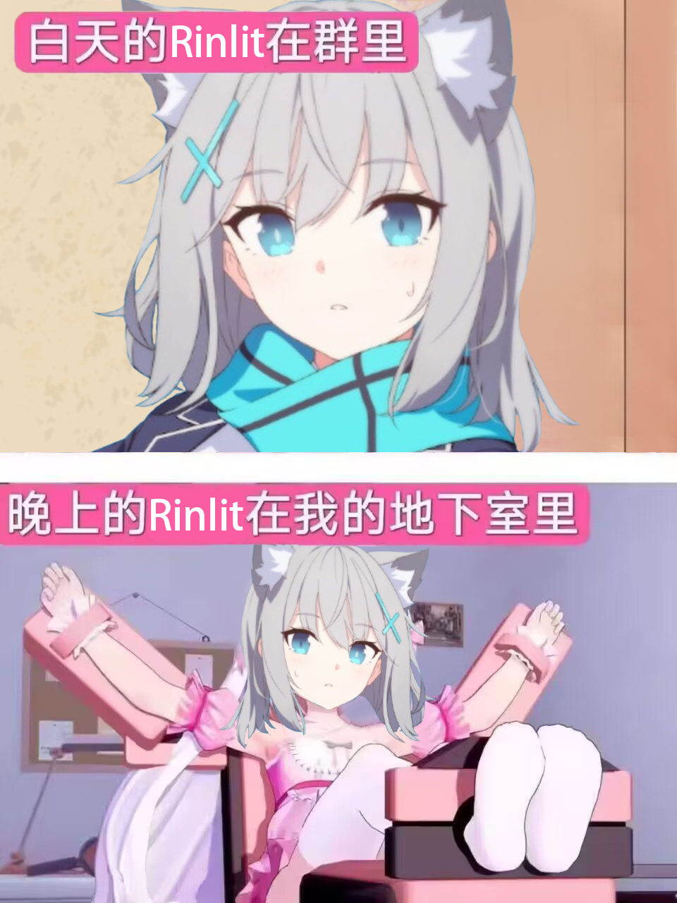 白天和夜晚的Rin