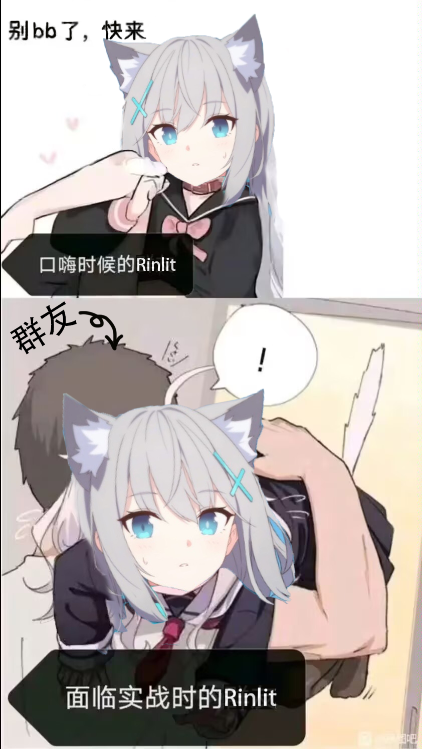 制裁Rin